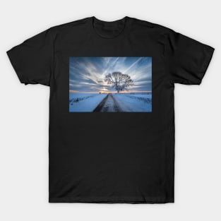 Snowy Tree and Road at Dawn T-Shirt